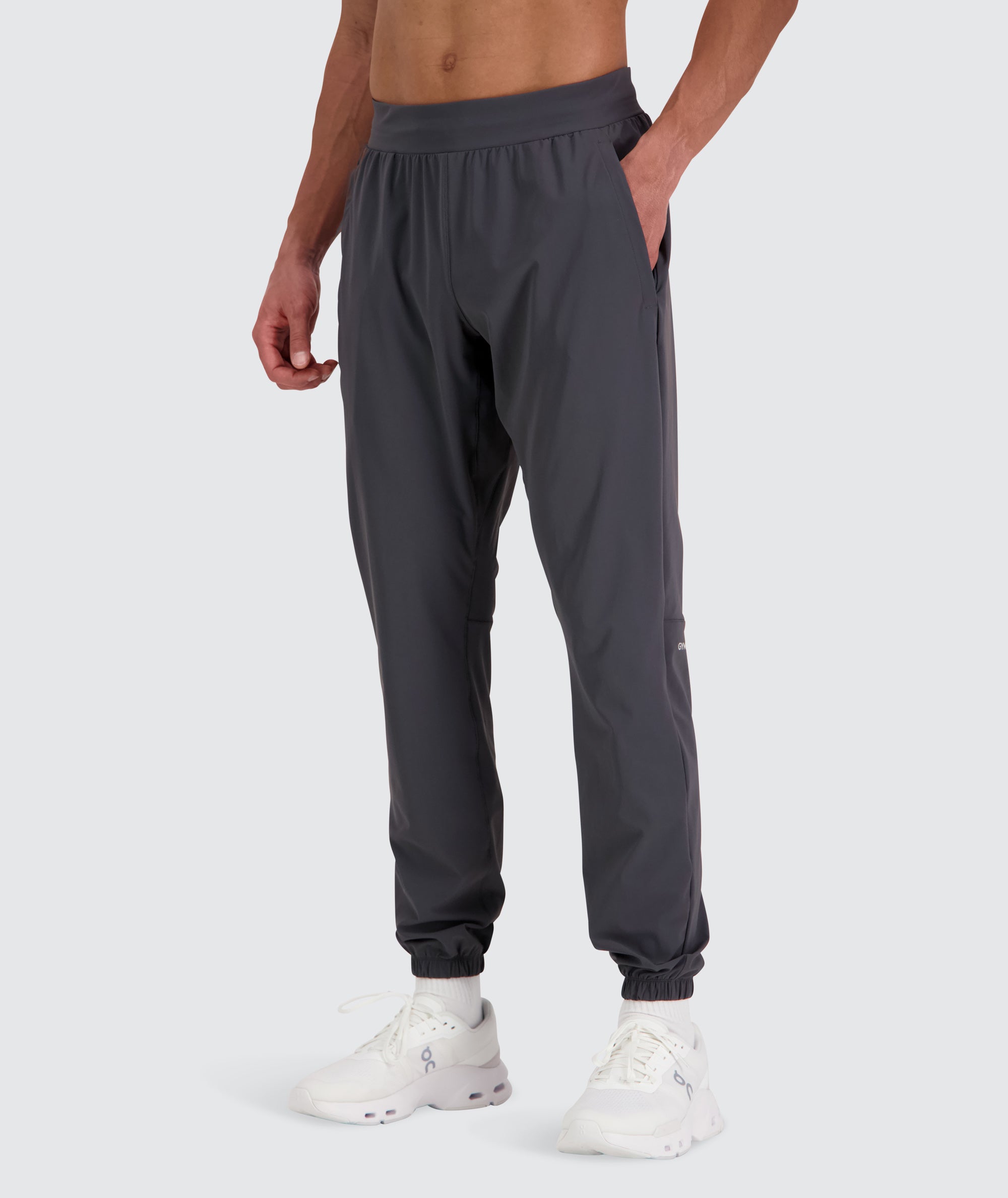 Men's performance joggers 2.0 Model 184 cm / size L in Regular #color_gravel-grey