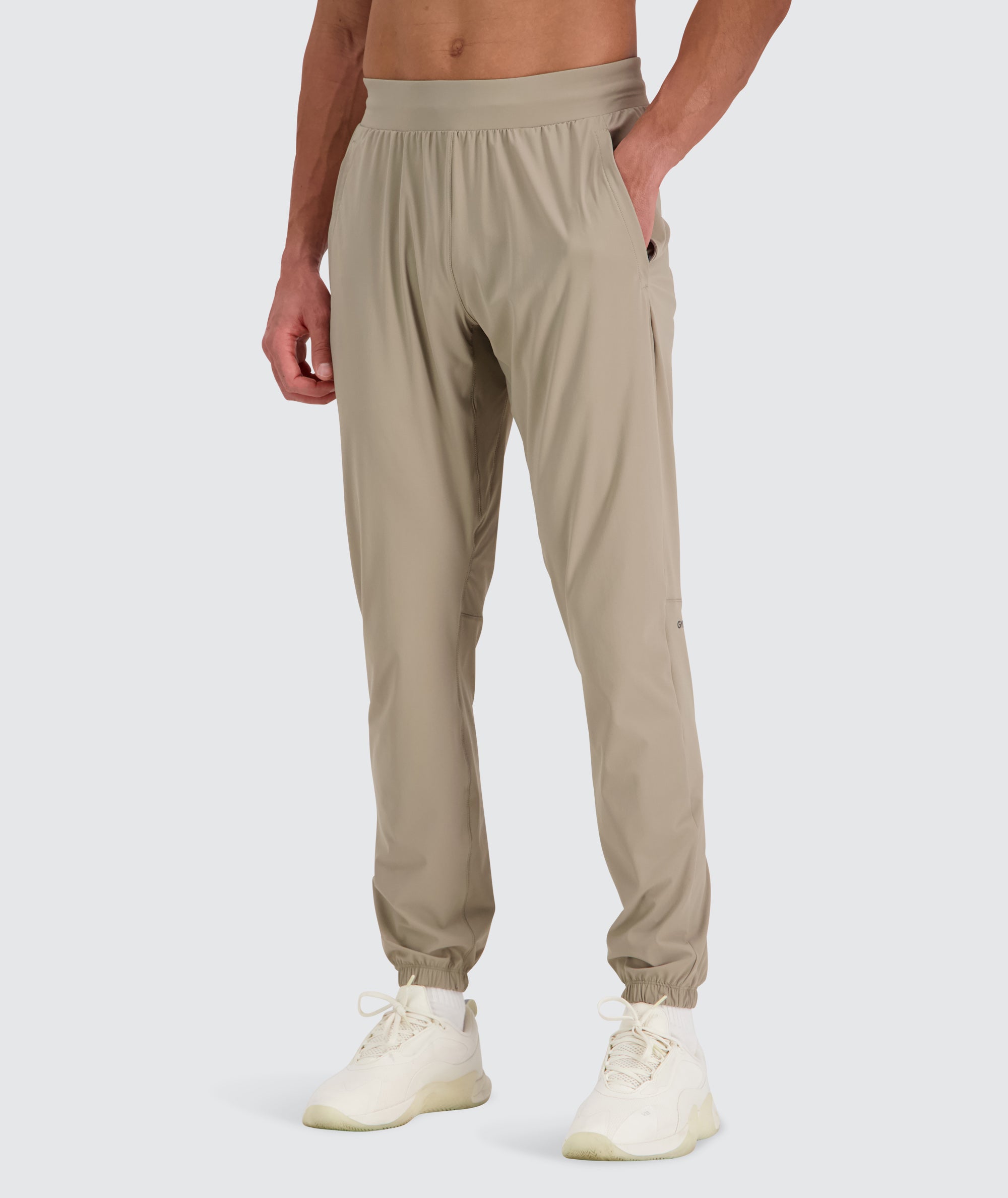 Men's performance joggers 2.0 Model 184 cm / size L in Regular #color_sand