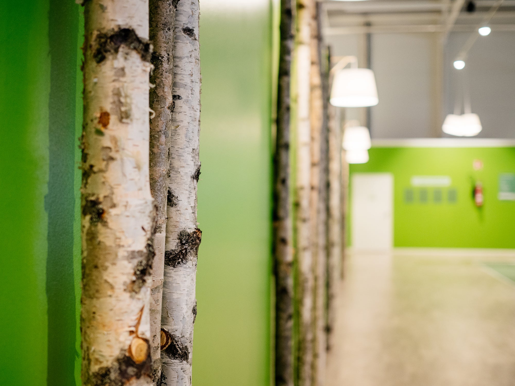 Liikun valmentajien vaatetilaus (ei logopainatusta)